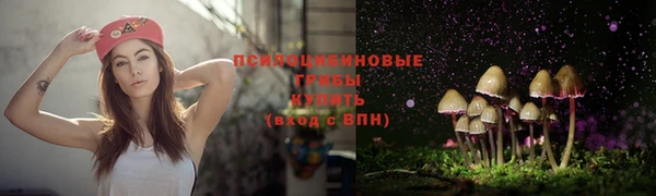 стаф Вязники