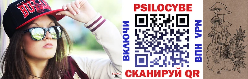 Купить закладки  Мглин  Псилоцибиновые грибы Psilocybine cubensis 